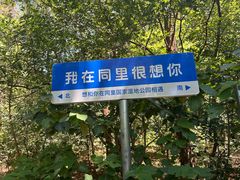 -同里国家湿地公园