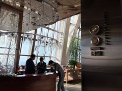 -The lounge 柏悦酒店大堂酒廊(上海环球金融中心店)