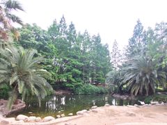 -苏州河梦清园环保主题公园