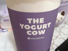 -一只酸奶牛(奎星楼店)