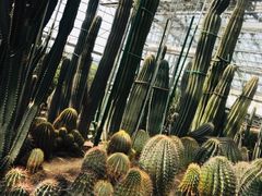 -南山植物园