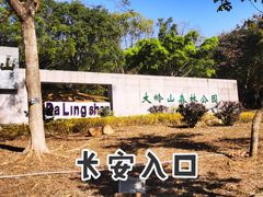 -东莞市大岭山森林公园