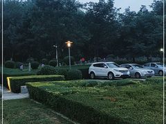 -莫子山公园