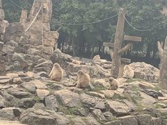 -合肥野生动物园