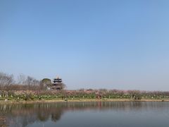 -上海海湾国家森林公园