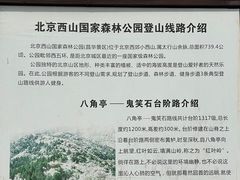 -北京西山国家森林公园