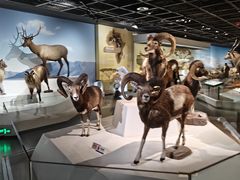 -陕西自然博物馆