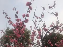 -南湖湿地公园