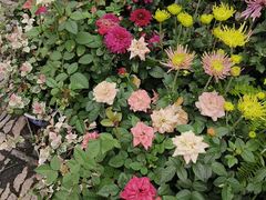 -川香煲(茅台路店)