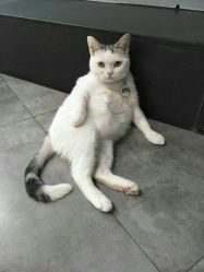 -M Hair造型