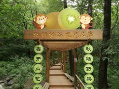 -大岭沟猕猴桃谷风景区