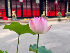 -成都市文殊院