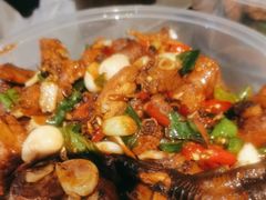 -向民炒鸡老店(金泰华府店)