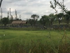 -白鹭湾湿地公园