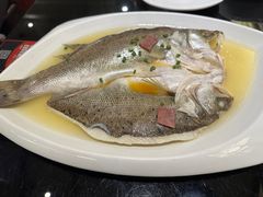 非一般海鲈鱼-高第街56号餐厅(银座商城玉函店)