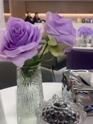 -上海伊莱美医疗美容医院