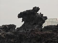 -龙头岩(Dragon Head Rock)
