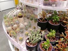 -KKV(深圳宏发大仟里店)