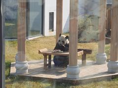 -无锡动物园·太湖欢乐园