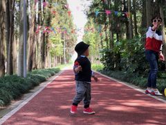 -上海长兴岛郊野公园