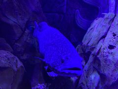 -哈尔滨波塞冬海底世界