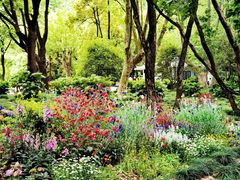 -上海共青森林公园