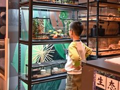 -FAIRYLAND龙族星球主题餐厅(凯丹广场店)