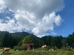 -硗碛藏寨·神木垒景区