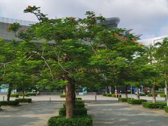 -广东科学中心