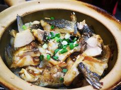 -红星光发煲仔饭(文海店)