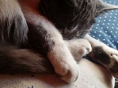 android_upload_pic-MIKAKU(万达广场上海宝山店)