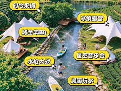 -上海山野camping·户外天幕烧烤·团建拓展营地