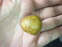 -阿男野栗王(金门路店)