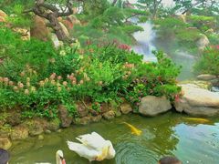 -罗红摄影艺术馆