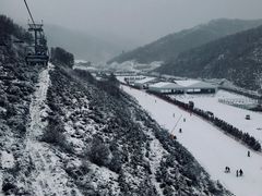 -密苑云顶乐园(云顶滑雪场)