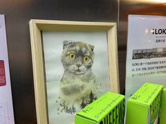 -欧邑咖啡小站 HLab Coffee