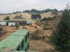 -衢州飞鸿滑草场