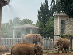 -石家庄市动物园