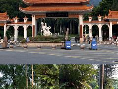 -深圳仙湖植物园