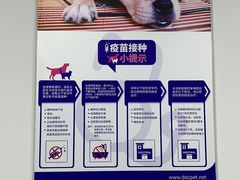 -宠颐生动物医院·小陆分院