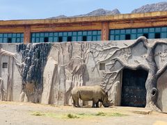 -新疆天山野生动物园