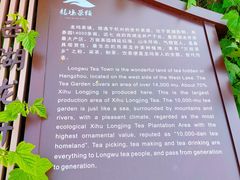 -龙坞茶村