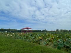 -嘉北郊野公园