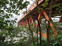 -东水门老街