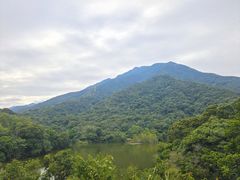 -梧桐山风景名胜区