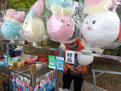 -辛玛王国游乐园