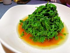 -钱塘秋荷(开鲁路店)