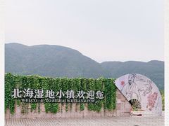 -腾冲北海湿地