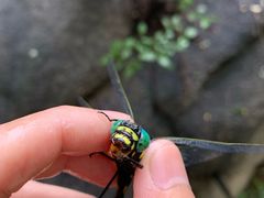 -碓臼峪自然风景区