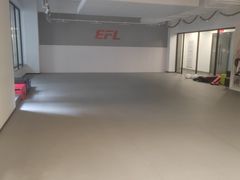 -EFL巴西柔术·综合格斗·泰拳·少儿体能训练(虹桥德必馆)